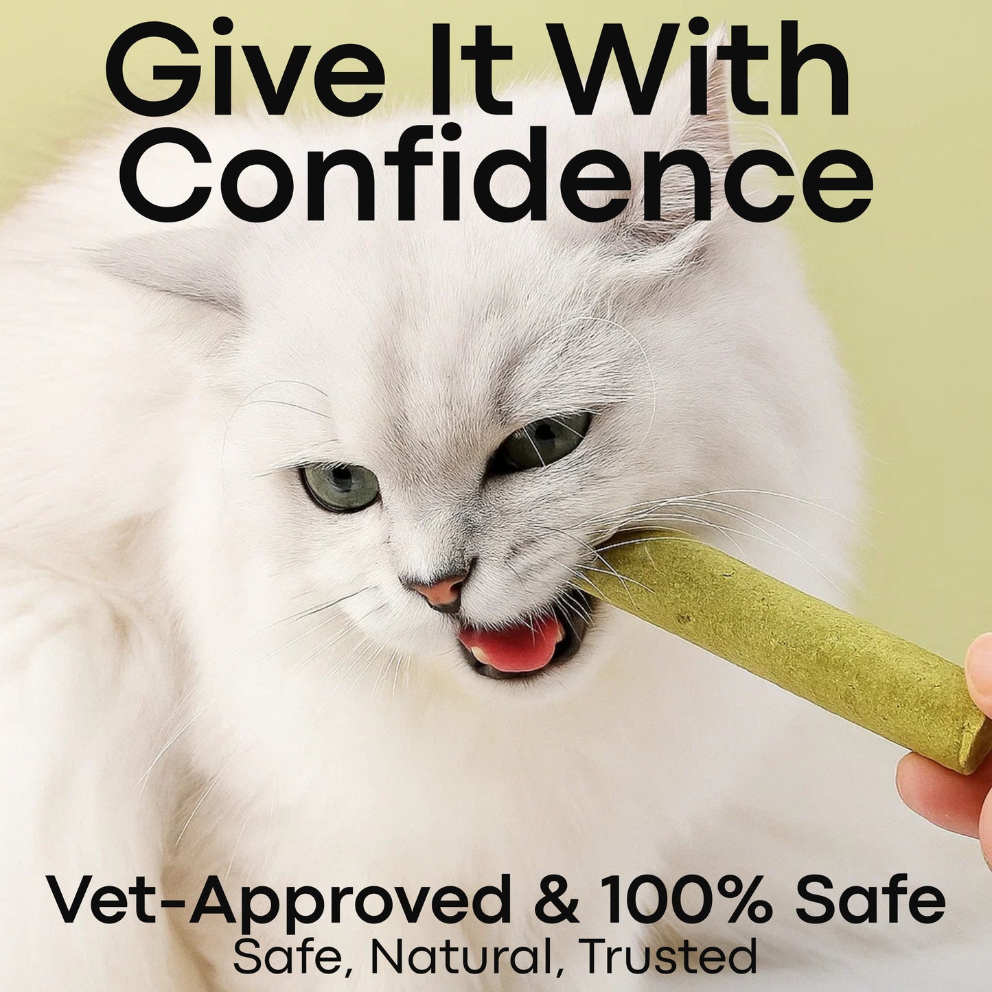 GrassEase™ By PupNourish