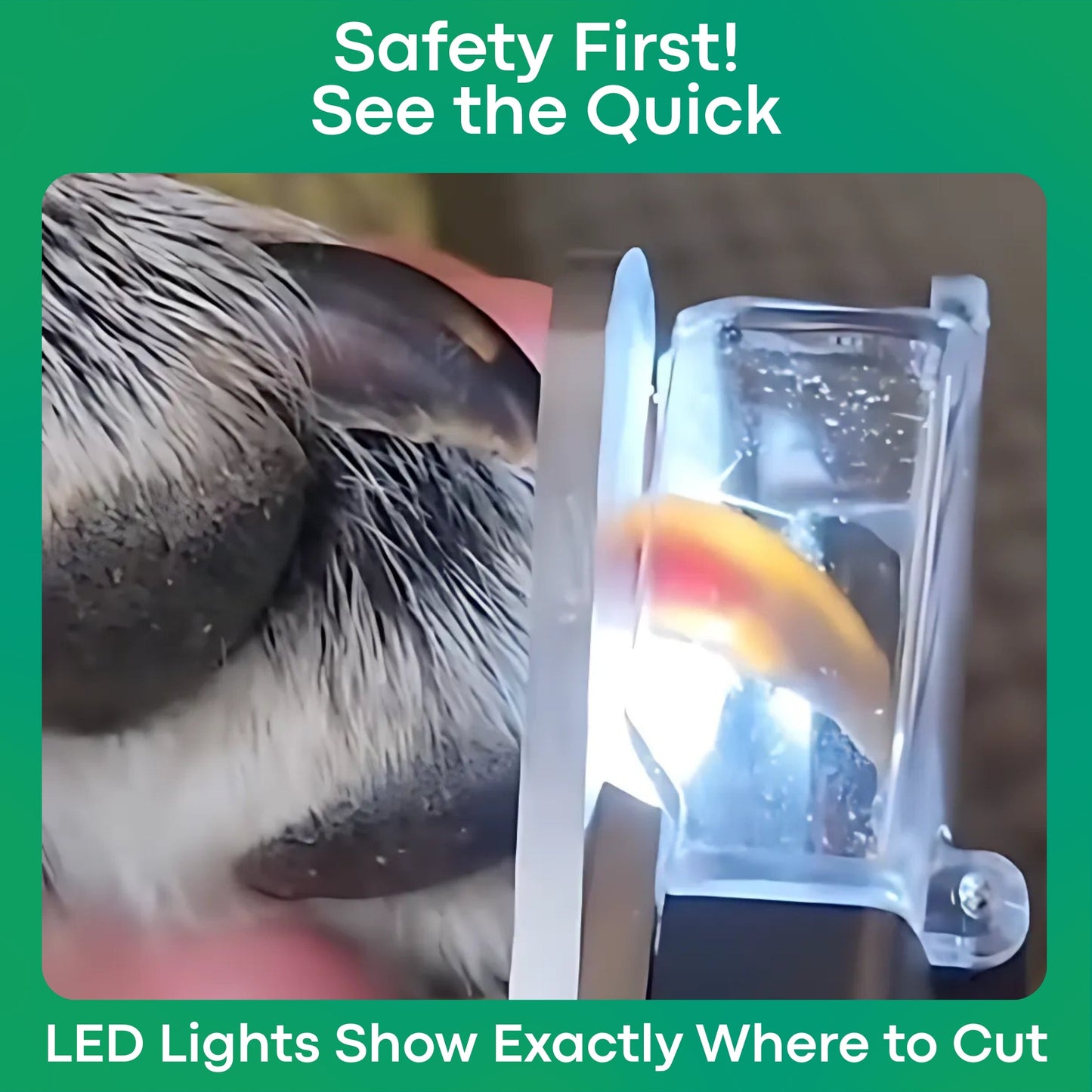 The SafeTrim™ By PupNourish