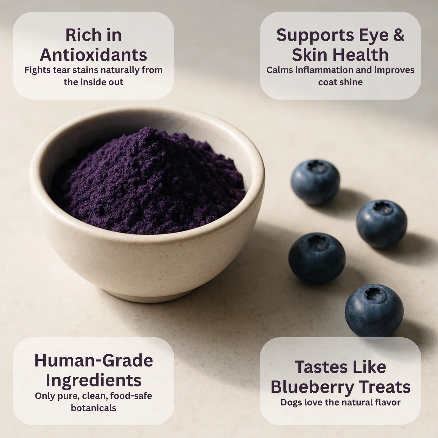 BlueNourish™ Blueberry Powder