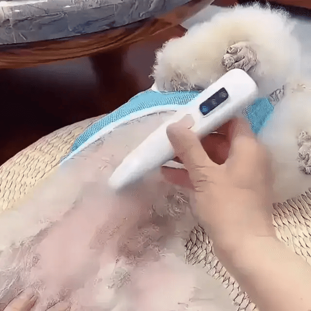 Belly & Hygiene Areas