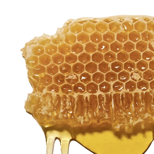 Honey Extract