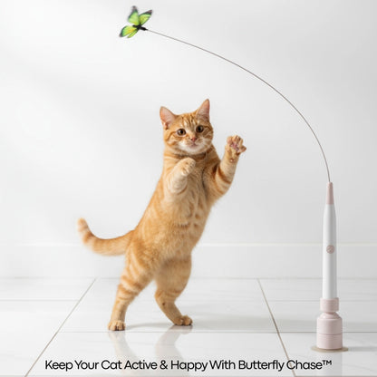 Butterfly Chase by PupNourish™