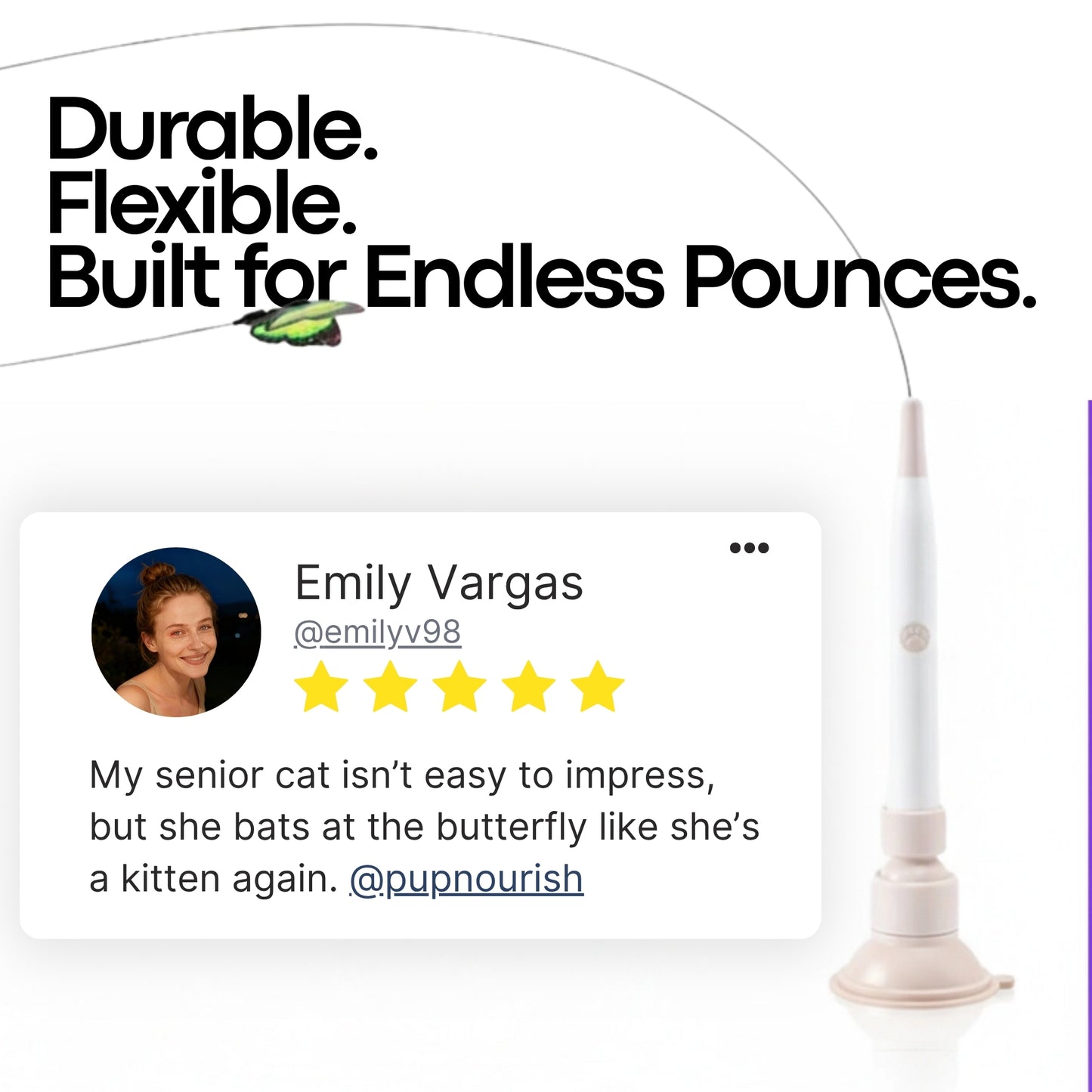 Butterfly Chase by PupNourish™