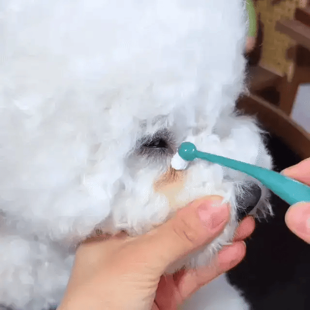 STEP 2: APPLY