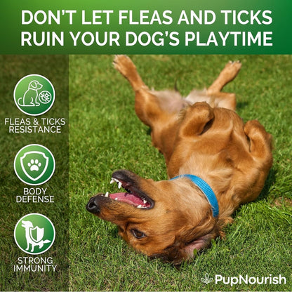 Flea & Tick Prevention Natural Chewables