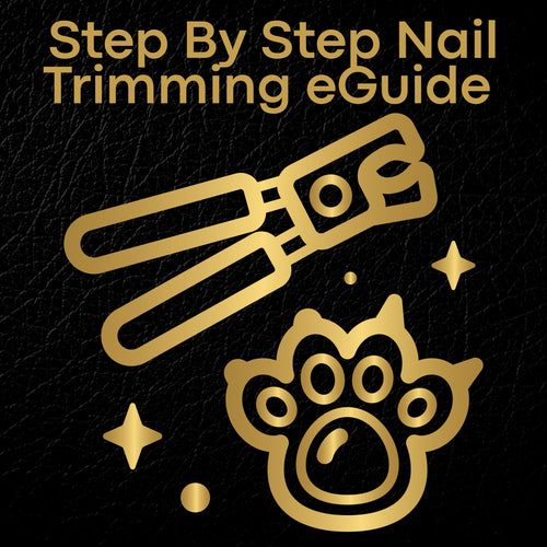Nail Trimming Guide