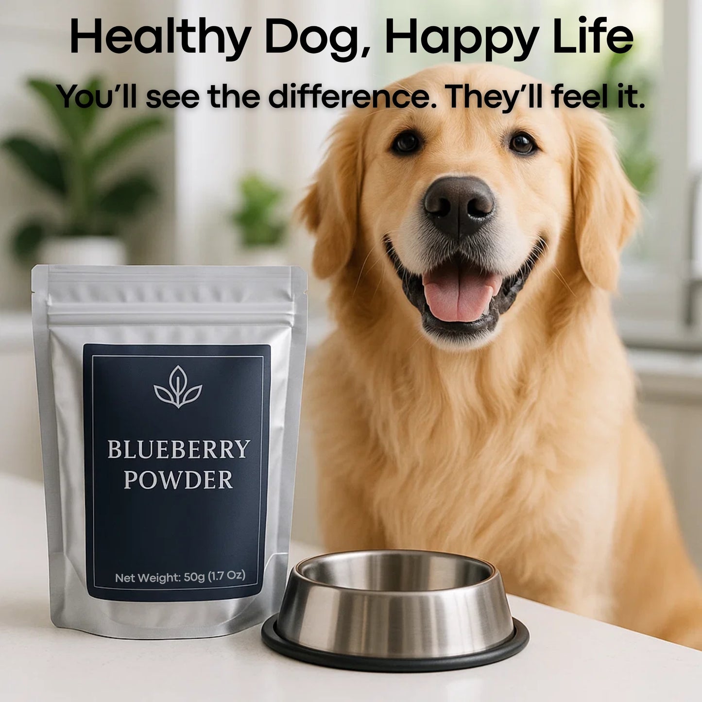 BlueNourish™ Blueberry Powder