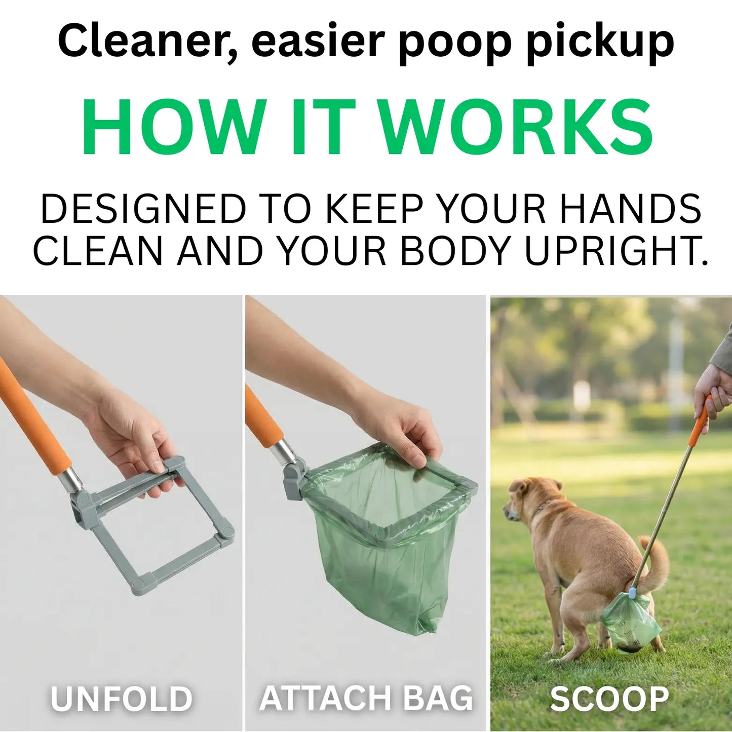 Scoopy by PupNourish