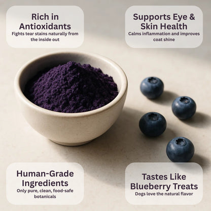BlueNourish™ Blueberry Powder