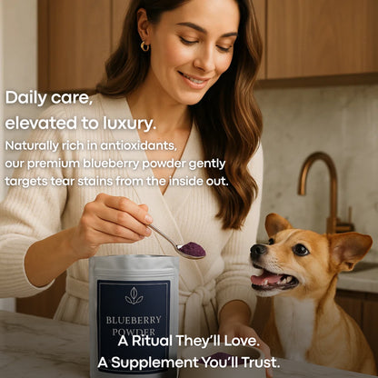 BlueNourish™ Blueberry Powder