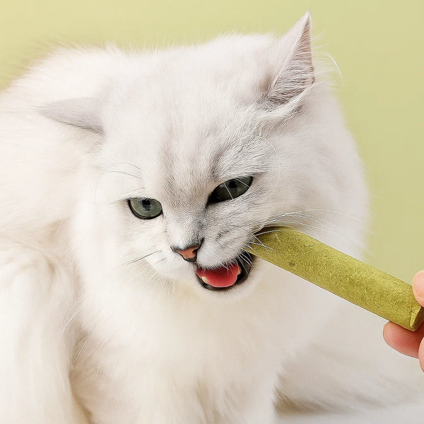 Tasty Treats,