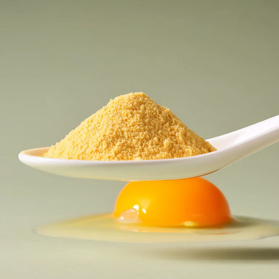 Egg Yolk Powder